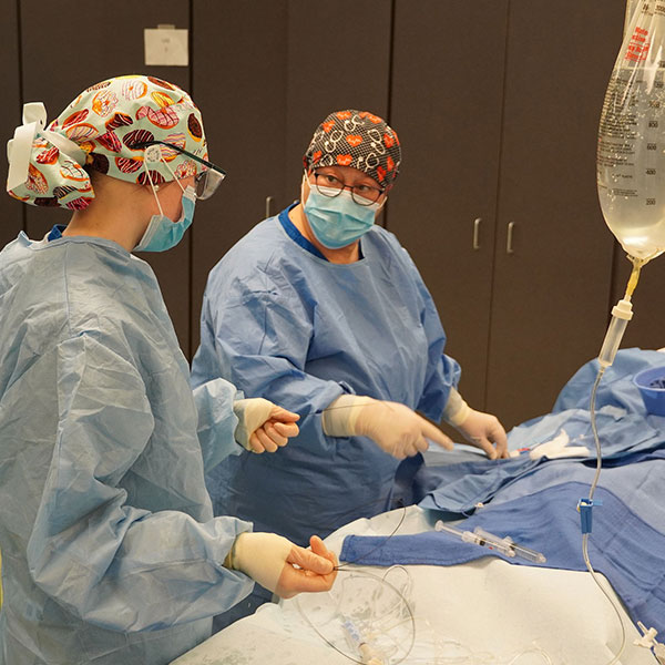 博彩平台 State 健康的职业