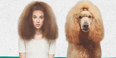 pet owner look-alike