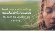 接地 - 博彩平台 State Calm Room