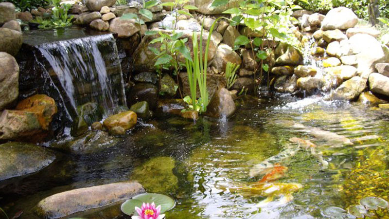 视觉刺激 - 博彩平台 State 虚拟平静室